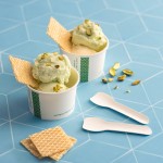 Cuchara de helado de papel compostable de 3,5 pulgadas/90 mm 2000 UNIDADES